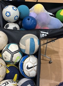 miscellaneous sports balls (gym)