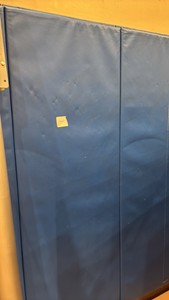 Blue wall mat (gym)