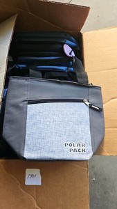 polar pack lunch bag tote  (r140)