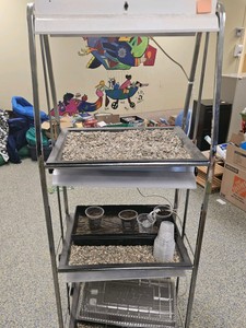 seed starting station