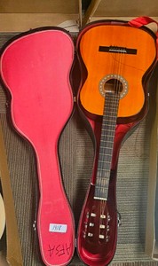 acoustic guitar   (Cr r220)