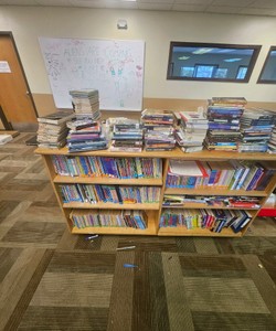 books and bookcase   (Cr r220)