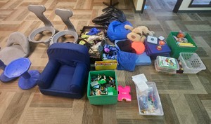 special education and OT CR220