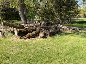 XXL Firewood (3)