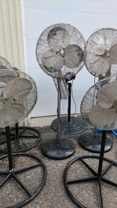 Pedestal Fan