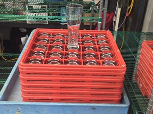 Lot of (25) Commercial Pilsner Beer Glasses with Glass Tray