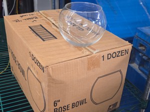 Lot of (9) 6 Rose Bowls