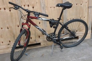 giant bicycle