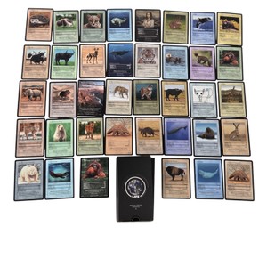 LIFE TCG 2026 Special Edition Mammals Trading Card Lot  38 Cards w Box