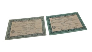 2 Vintage 1939-1940 St. Paul Minnesota Boy Scout MERIT BADGE CARDS Troop 100