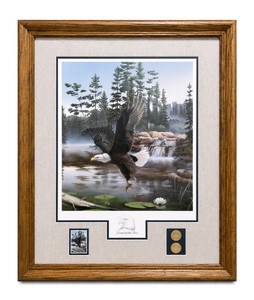 Collectors Edition The Boundary Waters Bald Eagle Framed Art with 1990 Stamp & gold tone Medallions