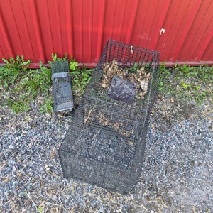 Lot of 2 Wire Live Traps