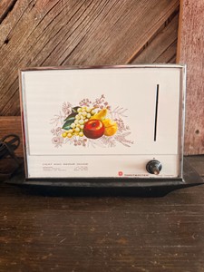 Toastmaster 2-Slice Retro Fruit Motif Toaster  1970s Kitchen Decor