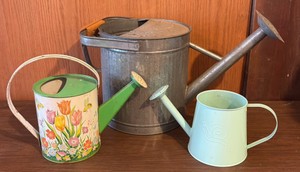 Three Watering Cans