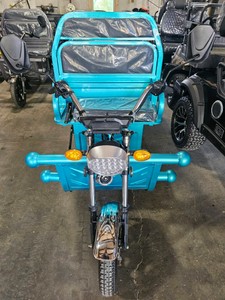 Unused 2026 Onshine Electric Cargo Tricycle OSECT-13