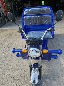 Unused 2026 Onshine Electric Cargo Tricycle OSECT-13