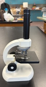 microscope WF 10 X