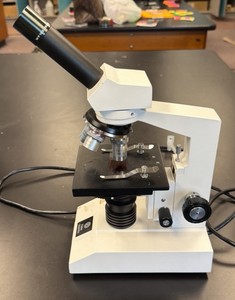 microscope by Fisher Scientific WF 10 X  16 MM