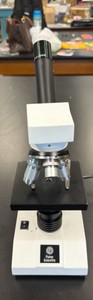 microscope by Fisher Scientific WF 10 X 18 MM