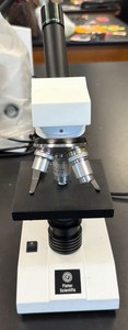 microscope by Fisher Scientific WF 10 X  18 MM