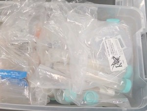 assortment of test tubes