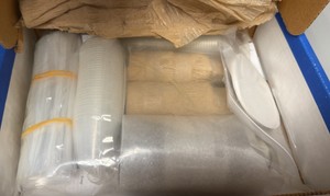 onion chromosome kit