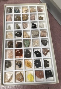 General fossil collections, teacher and student