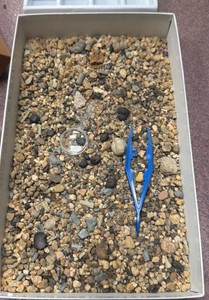 fossil hunt kits, four in lot