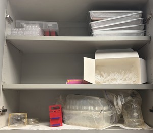 test tubes, transfer pipes, hands, and miscellaneous