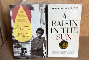 A Raisin in the Sun - 15 books