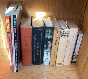 shelf of books