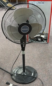 fan