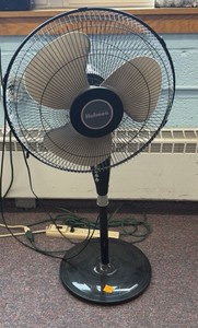 fan