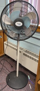 fan