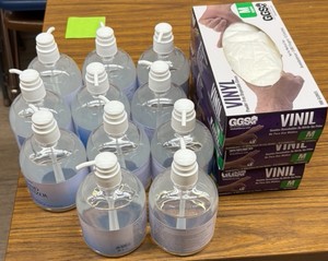 hand sanitizer -11 bottles, 3 boxes of medium vinyl gloves