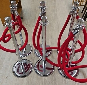 elegant chrome stanchions with velvet ropes