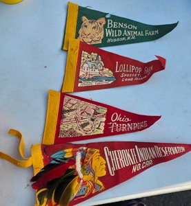 vintage Roadside Attraction pennants