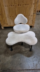rolling dog grooming chair