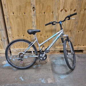 schwinn bicycle