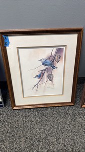 Watercolor bluebird
