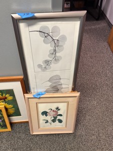flower paintings