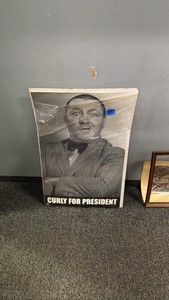 Curly for president poster