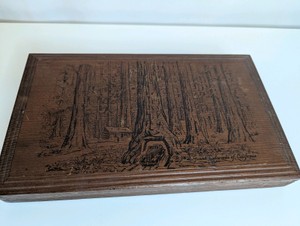 Vintage California redwood souvenir box