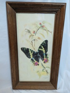 Vintage watercolor lithograph print, Sunset Moth by German artist B. Ballestar