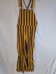 Minnesota Vikings Game Bibs, Large