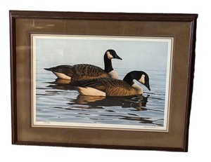 LLR - Vintage Phil Scholer Graceful Repose Canada Geese Signed Print 243580 Framed