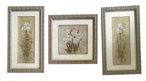 BR1 - B.J. Zhang Floral Print Trio Framed