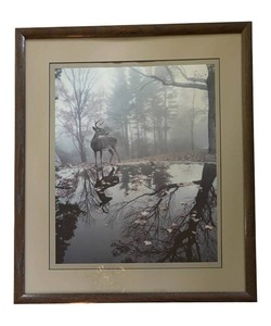 BR1 - Thomas D. Mangelsen Whitetail Reflections Print Framed