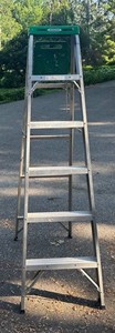 G - Werner Ladder Model 356 6 Ft 225 Lb