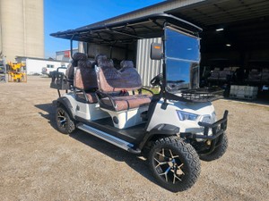 Unused 2026 SDLANCH GOLF CART SDLC100 CE